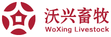 沃兴畜牧